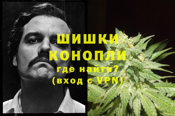 ГАЛЛЮЦИНОГЕННЫЕ ГРИБЫ Алзамай