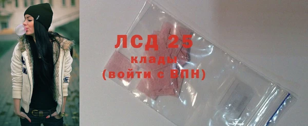 ГАЛЛЮЦИНОГЕННЫЕ ГРИБЫ Алзамай